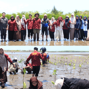 PIKOM IMM FK Unismuh Makassar Holds Mangrove Planting Action in Takalar Regency: A Concrete Step to Preserve Nature